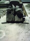 image of grave number 330629